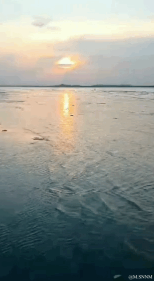 这是一段竖屏的GIF动态图，记录了海边日落的静谧场景。低垂的太阳悬在远方天际，暖金色的阳光在泛着细碎波纹的海面上投射出一条长长的光影带，随着海面的波动，金色的光影也随之轻轻晃动，整体画面氛围舒缓治愈，能让人感受到海边日落时分的宁静与温柔。