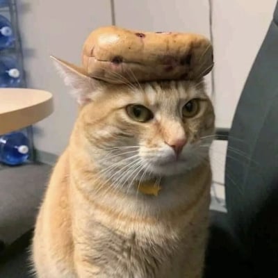 一只橘色的猫，头顶上稳稳地放着一块带有深色斑点的面包，眼神平静地注视前方。背景中可见室内环境，有圆形桌子和蓝色水瓶。整体画面幽默有趣，展现了猫咪的淡定与意外的平衡感。