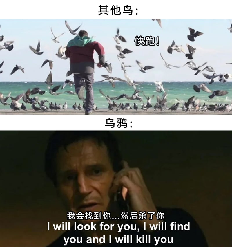 《飓风营救》