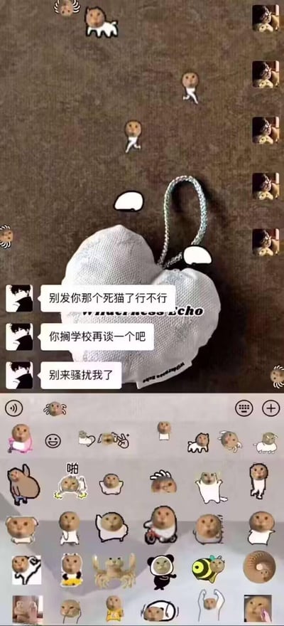 这是一张社交平台聊天记录的合成梗图，右侧聊天者持续发送大量“mur猫（忧郁猫）”系列搞怪表情包，对左侧聊天者进行“骚扰式”刷屏；左侧聊天者不堪其扰，接连发出三条吐槽消息：“别发你那个死猫了行不行”“你搁学校再谈一个吧”“别来骚扰我了”，图的下方还展示了更多同系列的mur猫表情包，用夸张的刷屏行为调侃了生活中那种不断发同款表情包骚扰人的聊天场景，充满搞笑的反差感。