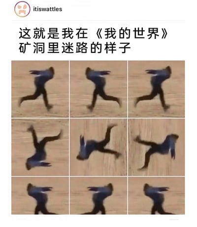 这是一张贴合《我的世界》玩家共鸣的搞笑梗图，上方配文“这就是我在《我的世界》矿洞里迷路的样子”，下方以九宫格的形式拼接了一段鸟类失控奔跑的动图截图，展示了鸟类从奔跑、到失去平衡、再到做出各种扭曲怪异姿势的过程，用这种荒诞混乱的画面，精准还原了玩家在游戏矿洞复杂地形中找不到方向、慌乱无措、晕头转向的状态，引发游戏玩家的强烈共鸣，属于典型的游戏向搞笑表情包。