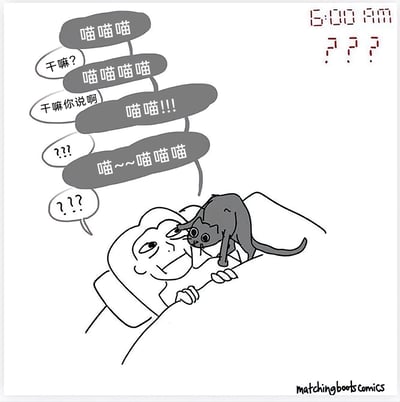这是一幅由matchingbootscomics创作的搞笑漫画，精准还原了养猫人被猫咪早起叫醒的无奈日常。画面右上角标注着凌晨5点，此时主人还躺在床上睡觉，一只黑猫凑到主人的脸上，不断发出不同语气的叫声，试图向主人传达需求；而被吵醒的主人一脸困惑，不断询问猫咪要做什么，却完全无法理解猫咪的“喵语”，只能接连发出疑惑的回应，生动展现了宠物和主人之间“鸡同鸭讲”的搞笑又真实的场景，戳中了众多养猫人的生活共鸣点。
