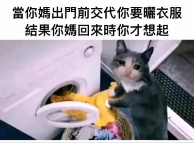这是一张充满生活趣味的搞笑梗图，上方配有简体中文文字“当你妈出门前交代你要晒衣服，结果你妈回来时你才想起”。图中一只灰白相间的猫咪，眼神流露出慌张与窘迫，正用爪子手忙脚乱地从洗衣机里往外拿一件黄色衣物，旁边还放着一个装满各色衣物的洗衣篮。猫咪的动作和神态被拟人化，完美还原了人们突然记起被家长交代的任务未完成，在家长即将到家时慌忙补救的慌乱状态，精准戳中了很多人有过的拖延、临时抱佛脚的经历，用可爱的动物形象放大了这种窘迫又好笑的情绪。