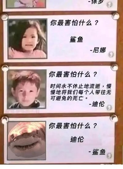 这是一张由四张卡片组成的连环图文混排静态图，采用“你最害怕什么？”的问答形式展开内容。第一张卡片仅显示部分区域和名字“保罗”，无完整问答内容；第二张卡片中，名为尼娜的小女孩面露害怕神情，回答自己最害怕鲨鱼；第三张卡片里，名为迪伦的小男孩神情严肃，给出了充满哲思的答案，称自己最害怕时间无休止地流逝，终将把所有人带向无可避免的死亡；第四张卡片是鲨鱼的图片，它的回答是最害怕迪伦。这张图的笑点在于形成了一个巧妙的逻辑闭环：迪伦恐惧的是死亡，而鲨鱼作为生物最终也无法逃脱死亡的命运，所以鲨鱼“害怕”迪伦，用这种荒诞又合理的反差制造出幽默效果。