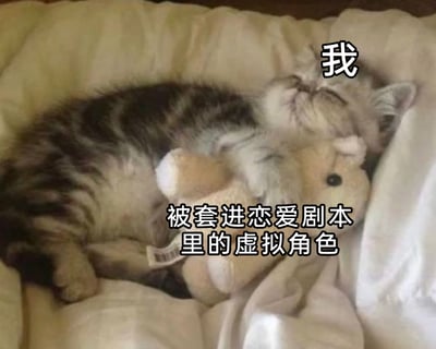 这是一张充满趣味的文字加注类表情包，画面主体是一只闭着眼睛、神态放松的小奶猫，正躺在柔软的垫子上，紧紧抱着一个毛绒玩偶。图中用文字对画面里的两个角色进行了标注：将小奶猫标注为“我”，将被抱着的毛绒玩偶标注为“被套进恋爱剧本里的虚拟角色”。通过拟人化的手法，生动地表达了当代年轻人调侃自己在恋爱关系或类似情境中，仿佛陷入了被设定好的剧情里，像被操控的虚拟角色一样身不由己，同时又带着一种躺平接受的慵懒情绪。
