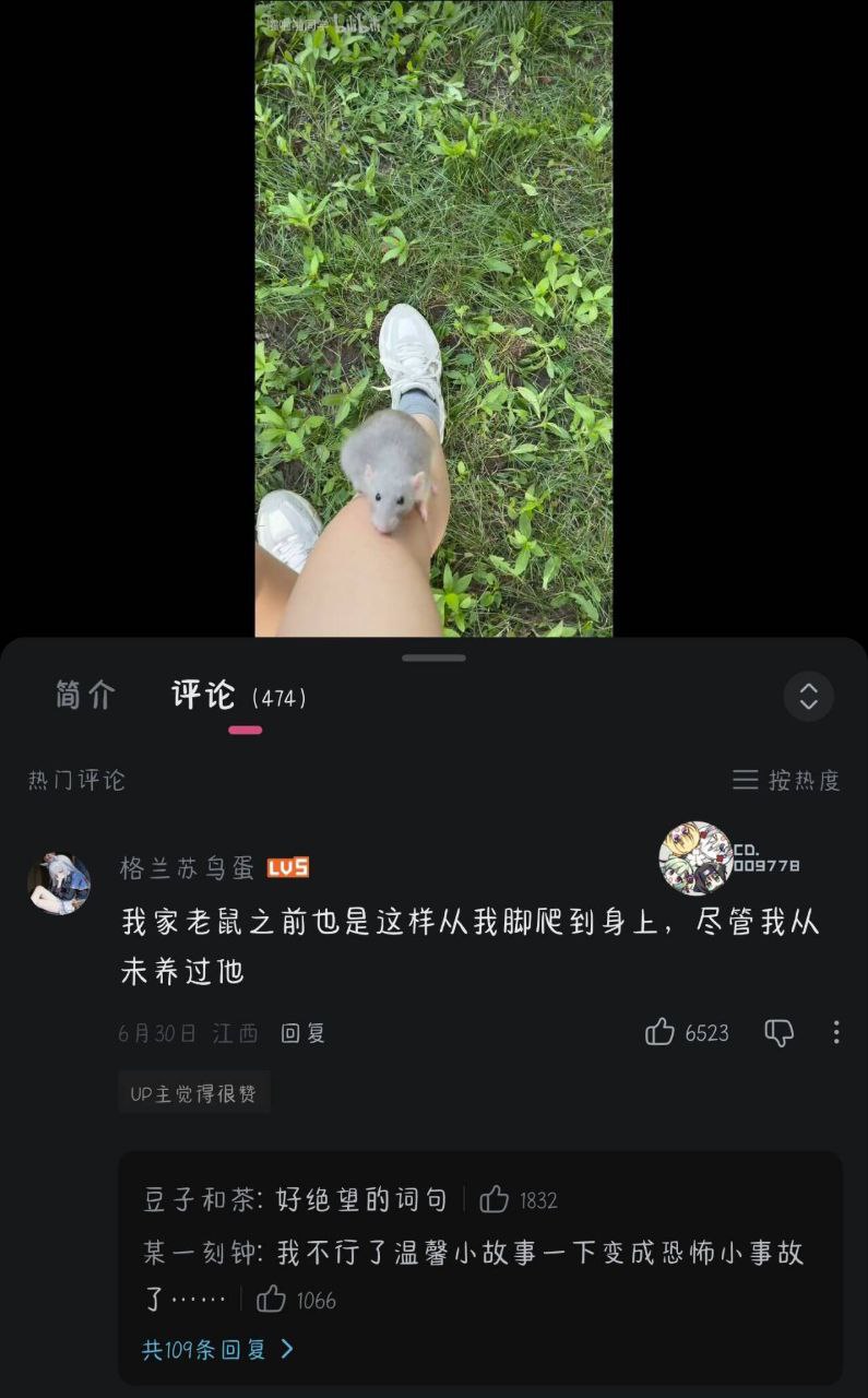 小老鼠