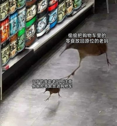 这是一张充满生活共鸣的网络梗图，背景是摆放着罐装食品的超市货架，地面上有一大一小两只鸟：体型较大的鸟对应“偷偷把购物车里的零食放回原位的老妈”，体型小巧的鸟对应“11岁的我趁老妈不注意偷偷把零食放进购物车”。通过生动的动物形象和精准的配文，还原了童年时期和妈妈逛超市时，在购买零食这件事上的有趣拉扯，戳中了很多人的童年回忆，展现了亲子间这种既日常又温馨的小互动。