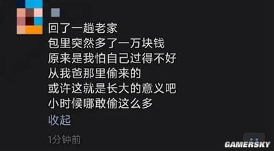 评论区流行的暖心段子图，讲述回老家时发现包里多了一万块钱，明知是爸爸偷偷塞的，调侃自己长大后也学会了‘偷’家长的钱，其实是家人的关爱与成长的象征，既幽默又带着温情。谐音与双关点：‘偷’字形容父母为子女默默付出，表现亲情暗流和成长的内涵。‘小时候哪敢偷这么多’形成温情反转。