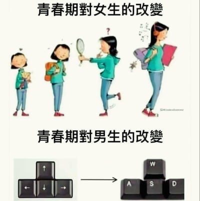 这是一张上下分栏的对比类搞笑梗图，上半部分用四格卡通插画展示青春期对女生的成长改变：从抱着玩偶的懵懂小女孩，到背着书包上学的小学生，再到开始用放大镜关注自身形象的少女，最后成长为戴着耳机、气质成熟的女生，完整呈现了女生青春期的外在和心理变化；下半部分则用键盘按键的变化玩梗，将男生的青春期改变具象为从方向键（代表童年简单的游戏操作）切换为WASD键（PC端电子游戏的核心移动按键），调侃男生在青春期后多沉迷电脑游戏，用夸张的性别差异对比制造幽默效果。