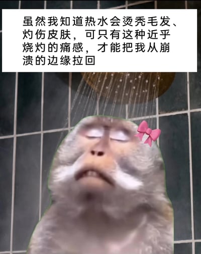这是一张经过二次创作的表情包，创作者将网络上的热门疲惫猴子形象添加粉色蝴蝶结后，置于浴室淋浴场景中，猴子双眼紧闭、仰头接受热水冲刷，神情疲惫又带着解脱感。图片上方的文案以拟人的口吻，精准表达了当代人在情绪濒临崩溃时，通过热水带来的强烈体感来锚定情绪、拉回状态的心境，戳中了很多人在高压生活下的情绪宣泄与自救的共鸣点。