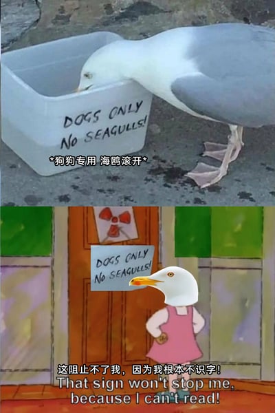 这是一张上下拼接的搞笑梗图，上半部分为现实场景，一只海鸥完全无视狗食盆上“DOGS ONLY No SEAGULLS!”（中文标注：*狗狗专用 海鸥滚开*）的警告标识，将头伸进盆里进食；下半部分是改编自动画《海绵宝宝》的经典梗图，制作方把海鸥的头部替换到动画角色的身体上，角色双手叉腰，配文“这阻止不了我，因为我根本不识字！That sign won't stop me, because I can't read!”，用幽默的方式为上半部分海鸥的行为“找借口”，通过现实场景和动画梗图的结合，制造出荒诞又好笑的反差效果。