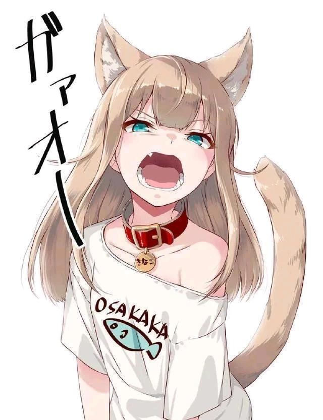 我家的猫是可爱的女孩子！