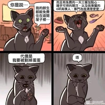 这是一幅四格连环漫画，以一只灰猫的视角展开：
1. 第一格：灰猫瞪大双眼，抬起一只爪子，满脸惊讶地畅想余生能免费住在屋子里；
2. 第二格：猫咪兴奋地张开双臂、大张嘴巴，幻想着能拥有免费三餐点心、人类的关注，还有专属“仆人”为自己清理粪便；
3. 第三格：猫咪表情瞬间转为惊恐崩溃，双手放在嘴边，得知这一切的代价是要被绝育；
4. 第四格：猫咪一脸生无可恋，托着腮发出“唔”的声音，接受了这个现实。
漫画通过巨大的心理反差制造搞笑效果，精准戳中养宠人群对猫咪绝育这件事的调侃点，没有双关、谐音梗等内容。