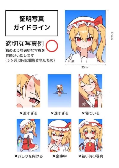 这是一张模仿正式证件照拍摄规范的搞笑ACG梗图，以《东方Project》中的角色芙兰朵露·斯卡蕾特为核心创作。图中上方区域展示了符合要求的证件照示例：标注尺寸为35mm×45mm，芙兰朵露正面朝向镜头，表情平静，同时标注要求需为3个月内拍摄的照片。下方则用6组带叉号的错误示例，以夸张搞笑的方式展示不符合证件照要求的状态：
1. 距离镜头过近，角色表情眩晕扭曲；
2. 距离镜头过远，角色缩小到几乎看不清；
3. 处于睡眠状态，闭眼合十，旁边还有“棺”字玩梗；
4. 背对镜头，只露出后背和翅膀；
5. 正在进食，嘴角和手上带有血迹；
6. 标注为“年轻时的照片”，角色呈现出更稚嫩的幼年姿态。
整体采用日式官方指南的排版风格，用严肃的格式搭配滑稽的错误场景，制造出强烈的反差笑点，没有双关或谐音梗。