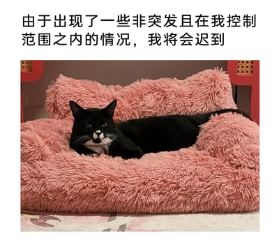 这是一张图文结合的职场搞笑梗图，图片上方配有文字“由于出现了一些非突发且在我控制范围之内的情况，我将会迟到”，下方是一只奶牛猫慵懒地趴在柔软的粉色毛绒猫窝里，猫咪一脸淡定、眼神略带慵懒敷衍的表情，和上方的摆烂式迟到理由完美呼应。该图以幽默的方式，将打工人不想上班、故意迟到的摆烂心态，通过猫咪的慵懒姿态和看似正式实则摸鱼的话术表现出来，精准戳中职场人的日常摸鱼心态，十分有趣。