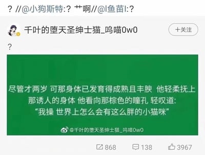 这是一张微博平台的内容截图，用户“千叶的堕天圣绅士猫_呜喵0w0”发布了一段充满反差感的搞笑文案。文案前半段用类似低俗言情小说的暧昧、夸张叙事风格，描写“他”抚摸一个“两岁就发育成熟丰腴”的对象，营造出暧昧氛围，随后笔锋一转揭晓这个对象是一只胖猫咪，最后那句“我操 世界上怎么会有这么胖的小猫咪”将前面的暧昧氛围瞬间打破，用强烈的反差感制造出搞笑效果。该内容上方有其他用户的疑惑评论“？//@小狗斯特:?艹啊//@l鱼苗l:?”，发布者自己也在内容前发了一个“？”。这条微博获得了868次转发、138条评论和3967个点赞，绿色背景的文案框底部带有发布者的微博账号水印。