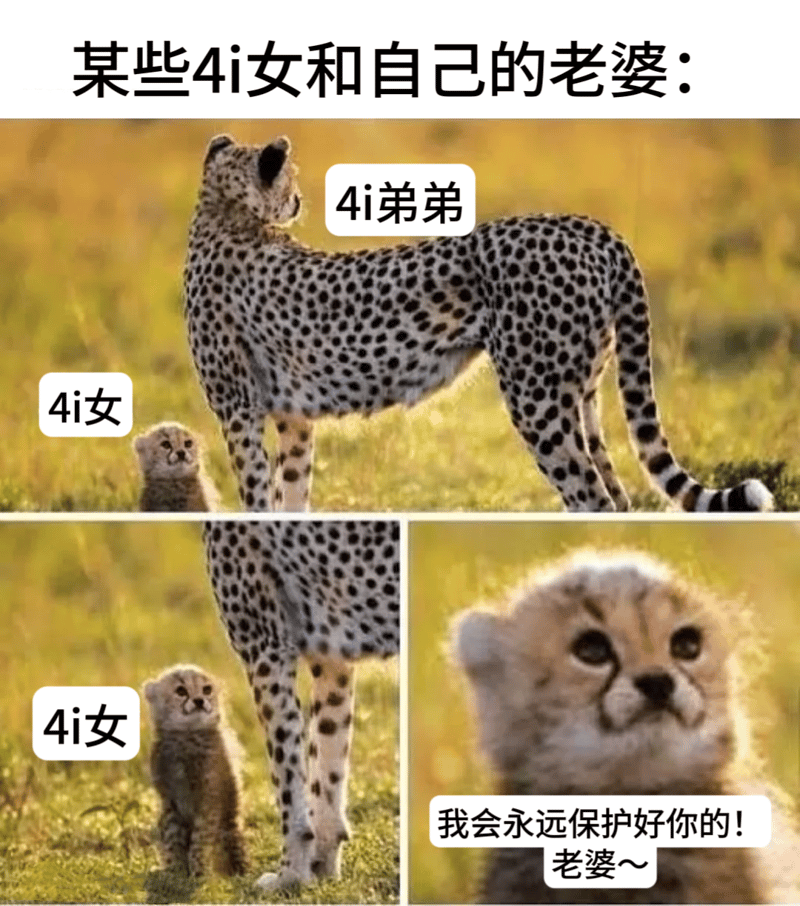 野生动物摄影