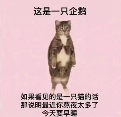 暂无描述