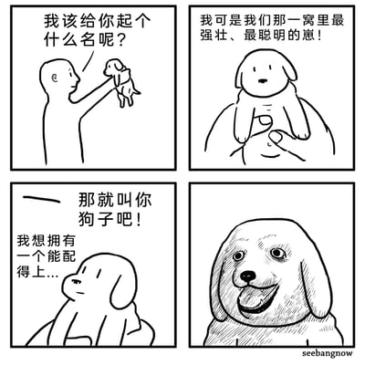 这是一幅四格黑白搞笑漫画，讲述了主人给小狗起名的故事：第一格中，主人将小狗举在面前，思索着要给它起什么名字；第二格，小狗自信满满地表示自己是那一窝里最强壮、最聪明的崽，内心期待着一个配得上自己的厉害名字；第三格，主人直接决定叫它“狗子”，小狗此时还在心里憧憬着一个合适的名字，充满期待；第四格，听到名字后的小狗表情瞬间变得夸张疯癫，眼神瞪大、嘴巴大张，呈现出巨大的心理落差带来的崩溃感，通过这种强烈的反差制造出幽默效果。