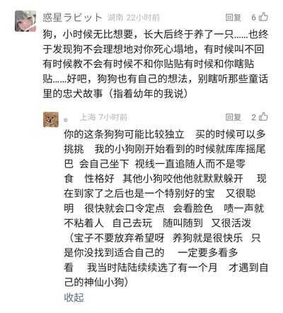 这是一张社交媒体评论区的静态截图，包含两条用户关于养狗体验的留言。来自湖南的用户“惑星ラビット”分享了自己长大后养狗的真实感受，打破了幼年时从童话里得到的“忠犬”幻想，意识到狗狗也有自己的独立想法，不会完全按照人类的期待行动；来自上海的用户则以自己挑选到“神仙小狗”的经历鼓励前者，分享了自家小狗温顺聪明、善解人意、随叫随到的特点，强调选到适合自己的狗狗很重要，养狗依然是一件快乐的事。两条评论分别获得了6个和2个点赞，展现了养宠人之间的经验交流与暖心鼓励。