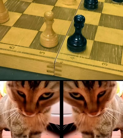 图片分为上下两部分。上半部分是国际象棋棋盘的特写，棋盘为黄棕色格子样式，画面中央有两个棋子面对面放置，左侧是黄色的兵，右侧是黑色的兵，似乎正处于对峙状态。下半部分是一只虎斑猫的近距离特写，采用了左右对称的构图，猫咪眼神锐利，耳朵微微前倾，胡须清晰可见，表情显得非常专注和严肃，仿佛正在认真观察或参与棋局。