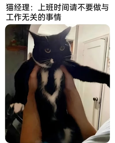 图片上方有文字“猫经理：上班时间请不要做与工作无关的事情”，下方是一只黑白相间的猫被人用双手从腋下托起，猫的表情严肃，前爪伸出，仿佛在严肃地指出或制止某事。通过将猫拟人化为“经理”的角色，以幽默的方式调侃职场中常见的管理场景。