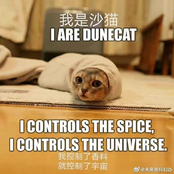 沙丘