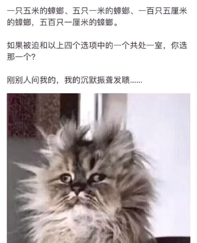 这张梗图上方是一段文字，提出了一个关于蟑螂的选择难题：一只五米的蟑螂、五只一米的蟑螂、一百只五厘米的蟑螂，或五百只一厘米的蟑螂，必须选择一个共处一室。文字下方是一张猫的图片，这只猫毛发全部竖起，眼睛瞪大，表情震惊而惊恐地抬头看，完美呼应了文字中提到的"我的沉默振聋发聩"的感受，用动物的夸张反应来表现面对这个荒谬问题时的震惊和无言以对。