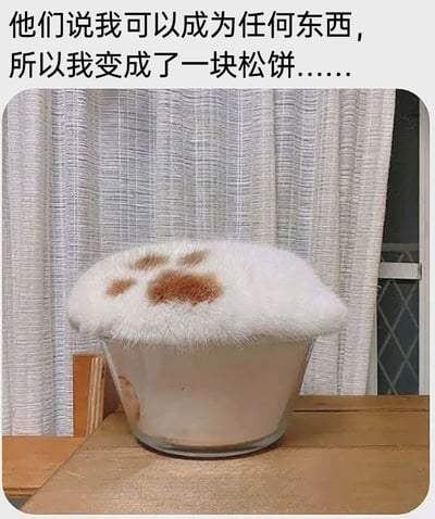 这是一张充满创意的趣味宠物摄影图，图片上方配有文字“他们说我可以成为任何东西，所以我变成了一块松饼……”，画面主体是一只白色带有棕色斑块的猫咪，它将身体趴在装有浅棕色饮品的玻璃杯口，从正面视角看，猫咪的背部形态与玻璃杯结合，恰好营造出“松饼盖在饮品上”的视觉错觉，仿佛猫咪真的变成了一块松饼。背景是浅色竖纹窗帘和木质桌面，整体氛围可爱治愈，利用视觉错位的手法打造出诙谐有趣的效果，展现出宠物的可爱与创作者的脑洞。