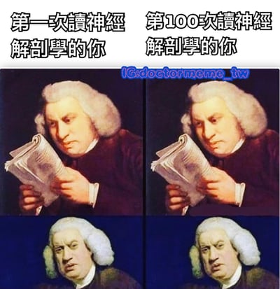 这是一张四格对比梗图，使用了一幅历史人物肖像画进行创意改编。上半部分两张图上方分别配有文字"第一次读神经解剖学的你"和"第100次读神经解剖学的你"，展示了同一个卷发戴假发的历史人物阅读文献时的表情变化。下半部分两张图则放大了人物的面部表情，从最初的专注困惑逐渐转变为明显的疲惫和绝望，幽默地表现了医学生反复学习复杂神经解剖学时的心理变化过程。