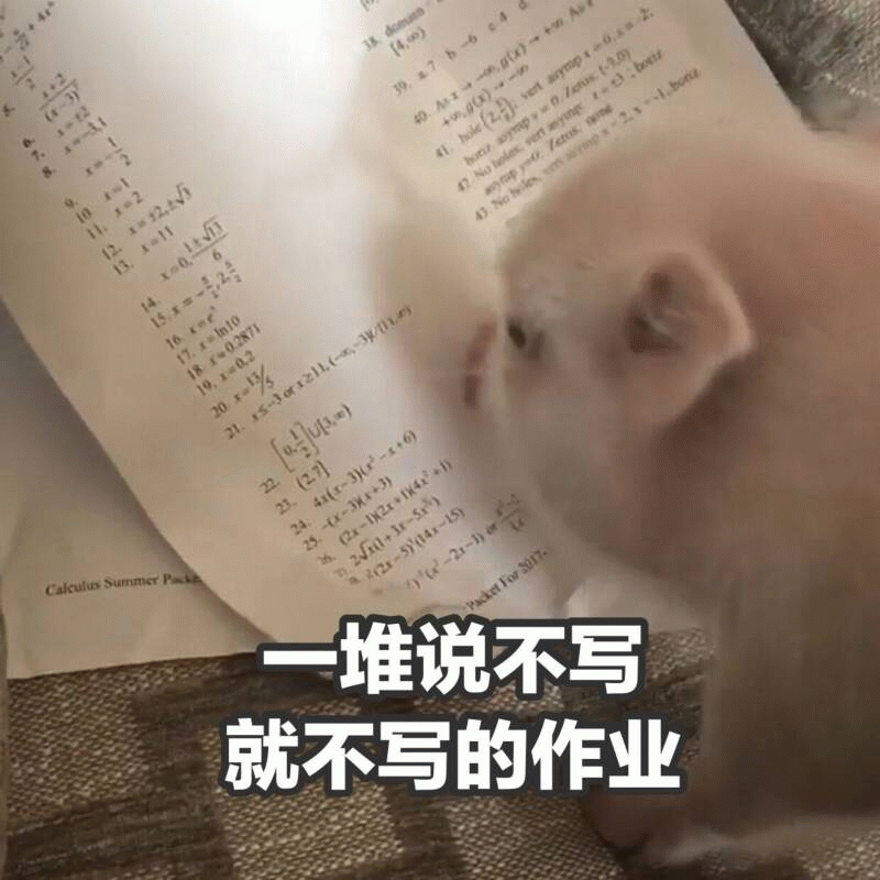 宝宝面对作业的摆烂时刻
