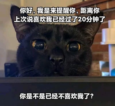 一张黑猫的特写照片，猫咪有着圆溜溜的黄色大眼睛，正直勾勾地盯着镜头。图片上方配有文字“你好，我是来提醒你，距离你上次说喜欢我已经过了20分钟了”，下方文字为“你是不是已经不喜欢我了？”。整体通过猫咪可爱的表情和俏皮的文字，营造出一种撒娇、需要被关注的幽默氛围。