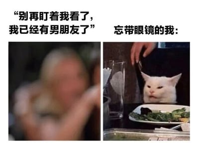 图片为左右对比结构，上方配有文字。左侧是一张模糊的人像照片，对应文字“别再盯着我看了，我已经有男朋友了”，暗示图中人物误以为被注视；右侧是清晰的白猫坐在餐桌前的照片，面前有一盘沙拉，对应文字“忘带眼镜的我:”。通过近视导致的视觉模糊制造幽默效果——没戴眼镜的人误将猫看作人，引发对方误会以为在搭讪。