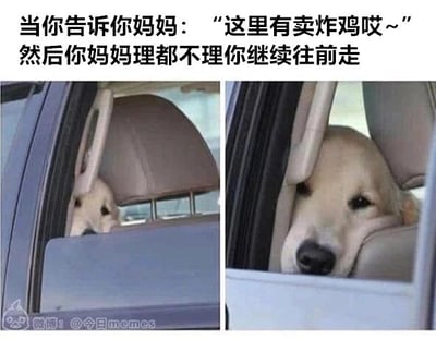 这是一张左右对比的多图拼接梗图，上方配有文字“当你告诉你妈妈：‘这里有卖炸鸡哎~’然后你妈妈理都不理你继续往前走”。左侧图中，一只金毛犬从汽车后座探出头，眼神带着期待，神态兴奋，模拟孩子向妈妈提出想吃炸鸡时的雀跃状态；右侧图中，这只金毛犬耷拉着脑袋靠在车门边，眼神失落，完美还原了请求被妈妈无视后的沮丧心情。该图通过拟人化的宠物神态，生动演绎了家庭日常里孩子想吃零食被家长无视的场景，充满趣味且容易引发网友共鸣。
