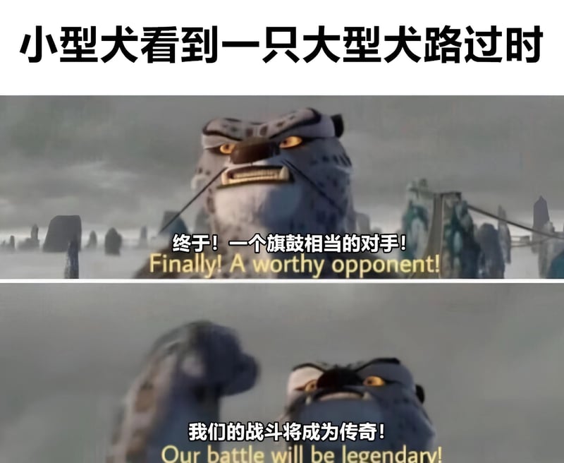 功夫熊猫