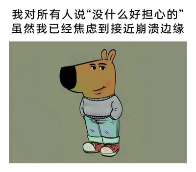 这是一张图文结合的表情包，画面主体是一只拟人化的卡通狗，它穿着灰色圆领毛衣、浅蓝色卷边牛仔裤和红白色运动鞋，双手插在裤兜里，脸上挂着勉强的微笑，姿态看似放松淡定；图片上方配有文字“我对所有人说‘没什么好担心的’虽然我已经焦虑到接近崩溃边缘”，通过外在淡定姿态与内在焦虑情绪的强烈反差，精准刻画了当代很多人在社交中嘴硬逞强，独自承受焦虑的状态，极易引发大众情绪共鸣。