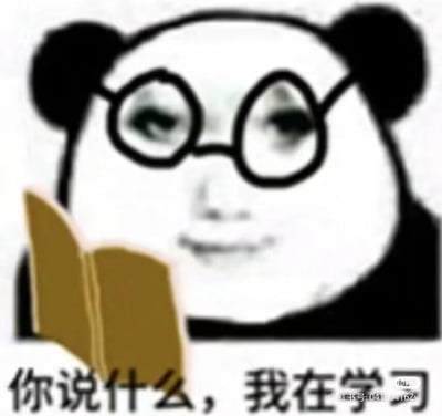 这是一张基于熊猫头模板改编的搞笑表情包，图中是将真人的面部表情拼接进熊猫头轮廓里的形象，该形象戴着黑框眼镜，手持一本棕色的书，眼神看起来敷衍且漫不经心，下方配有简体中文文案“你说什么，我在学习”。这张表情包主要用来表达不想搭理他人、假装专注学习以回避社交或话题的状态，用幽默的方式调侃“摸鱼式学习”或刻意回避交流的行为，图中没有双关、谐音梗或暗示内容。