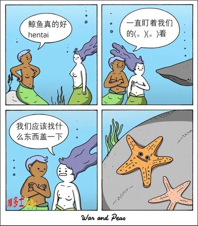 这是一组四格漫画，画面描绘了两只美人鱼在讨论鲸鱼喜欢“偷窥”，并提及“hentai”这一用词，随后她们担忧鲸鱼一直盯着她们的胸部看（用符号(. )(.)表示），觉得需要找东西遮盖。最后一格画面转到一只表情古怪的海星，暗示它们将用海星来遮挡敏感部位，引发幽默和联想。整体调侃动漫文化、偷窥等话题，带有轻度性暗示和二次元梗。