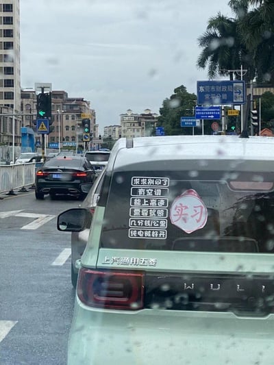 雨天的东莞街道上，一辆浅绿色上汽通用五菱汽车的后窗贴满了白色文字贴纸，幽默回应路人常见疑问：“求求别问了”“有空调”“能上高速”“需要驾照”“几分钱/公里”“纯电贼好开”，并贴有红色“实习”标识。背景可见城市建筑、交通信号灯及“东莞市财政局常平分局”路牌，照片镜头带有雨珠，推测由后方车辆乘客拍摄。
