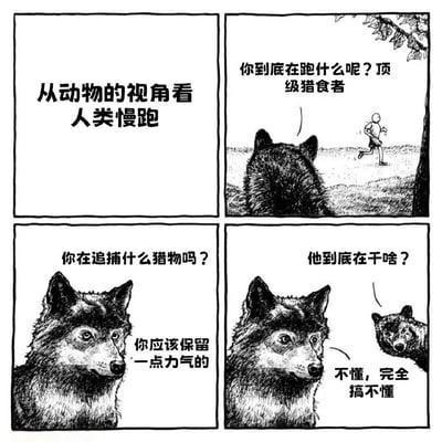 这是一幅四格黑白漫画，以动物视角幽默展现人类慢跑行为的迷惑性。第一格标题为'从动物的视角看人类慢跑'；第二格中一只狼望着远处慢跑的人类，疑惑道'你到底在跑什么呢？顶级猎食者'；第三格狼特写，思考'你在追捕什么猎物吗？你应该保留一点力气的'；第四格另一只狼加入对话，一只问'他到底在干啥？'，另一只无奈回答'不懂，完全搞不懂'。通过动物的不解，调侃人类为健身而跑步的行为在自然界视角下的荒诞感。