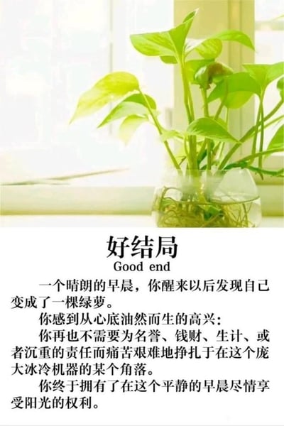 这是一张采用“图上文字下”布局的图文混排静态图，上半部分是一张实拍的水培绿萝照片：透明容器中绿萝的根系清晰可见，翠绿的叶片舒展着，被放置在明亮的窗边，晨光洒在叶片上，营造出宁静治愈的氛围。下半部分是一段以“好结局”为标题的文字内容，英文标注“Good end”，正文以第二人称视角叙述：在一个晴朗的早晨，“你”醒来发现自己变成了一棵绿萝，由此感到由衷的喜悦，因为终于不必再为名誉、钱财、生计与沉重的责任，在庞大冰冷的社会机器中痛苦挣扎，终于能在平静的早晨尽情享受阳光。这段文字通过反向设定“好结局”，精准戳中当代人在生活与职场中背负的压力，以一种略带荒诞的方式表达了人们对无压力、平静生活的向往。