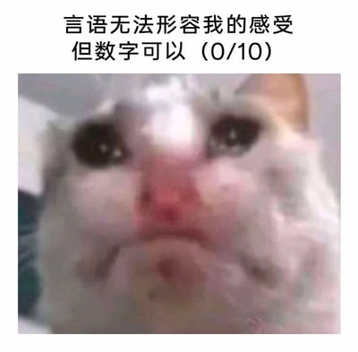 这是一张图文结合的网络梗图，上方配有文字“言语无法形容我的感受但数字可以（0/10）”，下方是一张猫咪的面部特写图：猫咪眼眶泛红，嘴角下垂，神情委屈沮丧，满脸难过，其神态与文字传递的情绪高度契合，用0分的极低评分直白地表达出对人、事、物的极度不满、失望与委屈的负面情绪，适合在社交场景中用来抒发自身的糟糕感受。
