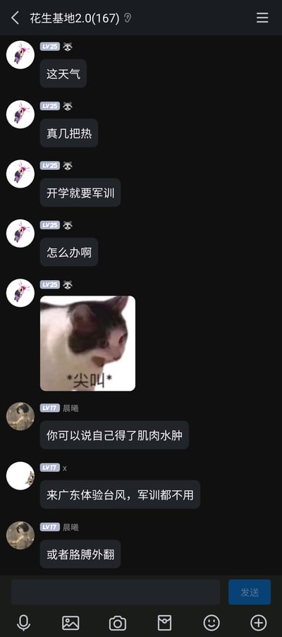 这是一张竖屏手机格式的社交群聊截图，群名为“花生基地2.0(167)”。一位LV25的用户首先吐槽天气炎热，同时表达了对开学就要军训的焦虑，还发送了一张配文“*尖叫*”的猫咪表情包来传递自己烦躁抓狂的情绪；随后LV17的用户晨曦给出了谎称患有肌肉水肿、胳膊外翻来逃避军训的建议，另一位LV17的用户x则调侃可以前往广东，借助台风天气来躲避军训，整体内容是学生群体围绕高温天气下的开学军训展开的真实吐槽与趣味互动，充满了学生群体的生活化气息。