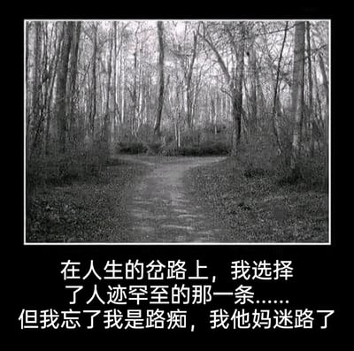 这是一张顶配底文的黑白静态梗图，上半部分呈现了一片树林中分出的岔路，画面风格暗沉萧瑟，还原了经典诗歌《未选择的路》的场景；下半部分是一段自嘲式的配文。配文先模仿诗歌的句式，营造出人生选择的严肃感，随后笔锋一转，以自己是路痴最终迷路的内容制造强烈反差，用荒诞的结局调侃路痴的无奈，同时解构了经典诗歌的严肃内核，整体风格搞笑自嘲，适合用来调侃路痴日常或表达对人生选择的荒诞感。