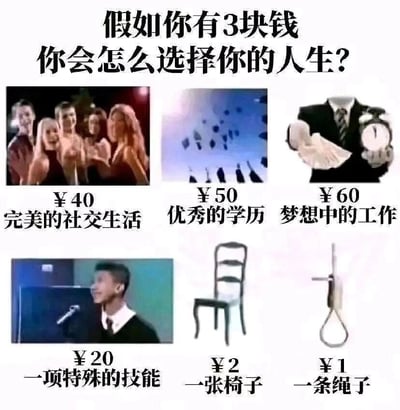 这是一张多图拼接的梗图，上方标题为"假如你有3块钱 你会怎么选择你的人生?"。图片分为两行三列，展示了六种不同的人生选择及其对应价格：完美的社交生活(¥40)、优秀的学历(¥50)、梦想中的工作(¥60)、一项特殊的技能(¥20)、一张椅子(¥2)和一条绳子(¥1)。通过夸张的价格对比和选项设置，形成幽默效果，暗示普通人面对高昂生活成本时的无奈选择。
