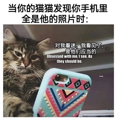 图片上方配有文字“当你的猫猫发现你手机里全是他的照片时：”，下方是一只虎斑猫正专注地看着一部带有彩色几何图案手机壳的手机。猫的表情显得十分得意，图片右侧叠加了文字“对我着迷，我看见了，是他们应当的”及其英文翻译“Obsessed with me, I see. As they should be.”，通过拟人化的手法幽默展现了猫咪发现自己是手机相册主角时的傲娇心态。