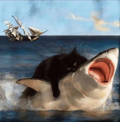 这是一幅风格化的海洋主题创意图，画面中一只淡定的黑猫稳稳趴在大白鲨的头部，将鲨鱼压制住，大白鲨张着嘴露出锋利牙齿，看起来在挣扎，海水翻涌，背景里还有一艘复古帆船。画面反差感拉满，把日常温顺的猫咪塑造成能压制鲨鱼的“海洋霸主”，带来荒诞又搞笑的视觉冲击。