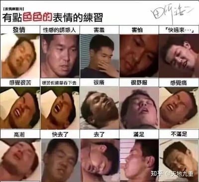 本图是一张模仿表情训练表的表情包，将出自动画及迷因作品《仲夏夜之淫梦》的主要角色经典表情和台词分门别类，贴合网络的玩梗氛围。每格配以原作截图和中文说明，涵盖“发情”“性感的诱惑”“害羞”“舒服”等网络热词表达，还配有“高/潮”“满足”“不满足”等带有暗示和双关的词语，构成类似‘表情包九宫格’的趣味模板。整体风格带有强烈恶搞成分和二次创作特征，尤其突出淫梦梗和田所浩二（野兽先辈）的网络象征意义。

谐音、性暗示和强烈的梗化表达为该图的亮点。