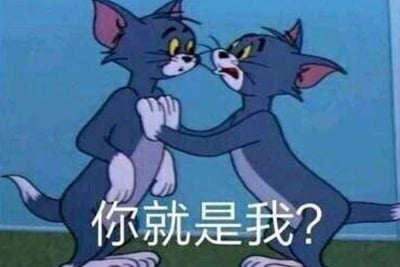 这张图是经典动画《猫和老鼠》的截图衍生梗图，画面里两个一模一样的汤姆猫面对面站立，右侧的汤姆猫双手抓住左侧汤姆猫的肩膀，眼睛瞪大，嘴巴张开，露出惊讶不敢置信的神情；左侧的汤姆猫同样睁大眼睛，一脸错愕地看着对方。图下方配有白色文字“你就是我？”，精准传达出角色撞见和自己完全相同的存在时的震惊、疑惑情绪，常用于表达发现和自己高度相似的人或事、陷入自我怀疑、对镜像场景的诧异等情境，没有双关或谐音梗。
