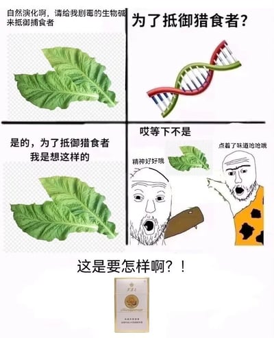 这是一张由四格画面加底部补充内容组成的搞笑梗图，以拟人化的方式演绎了烟草演化的“乌龙”故事：第一格是烟草向自然演化发出请求，希望获得剧毒生物碱来抵御捕食者；第二格用DNA双螺旋结构代表演化，发出疑惑的反问“为了抵御猎食者？”；第三格是烟草确认自己的演化目的，表明就是想靠生物碱抵御猎食者；第四格出现两个原始人形象的人物，一个叼着烟斗一脸亢奋地说“精神好好哦”，另一个指着烟草说道“点着了味道呛呛哦”，完全偏离了烟草的演化初衷；底部则展示了一盒香烟，配文“这是要怎样啊？！”，以烟草的视角吐槽自己演化出的防御机制不仅没起到抵御作用，反而被人类做成香烟成为嗜好品，通过强烈的反差感制造幽默效果，同时也暗含对烟草被人类利用的趣味调侃。